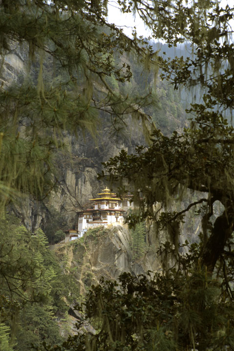 b_610l taktsang.jpg - Bhoutan - vallée de Thimphu, Simthoka le dzong se montre dans une trouée de la forêt, comme dans un écrin